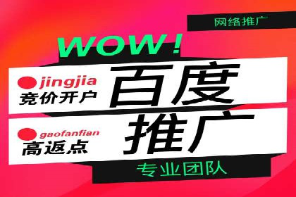 百度品牌专区推广：打造品牌形象的新途径